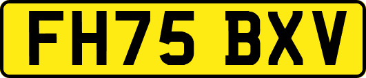 FH75BXV
