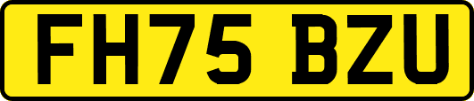 FH75BZU