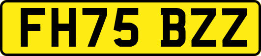FH75BZZ