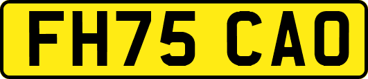 FH75CAO