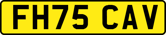 FH75CAV