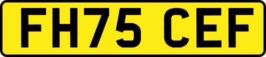 FH75CEF