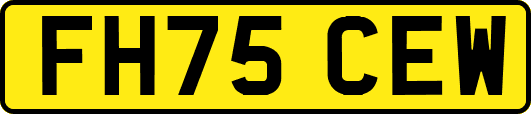 FH75CEW