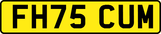 FH75CUM