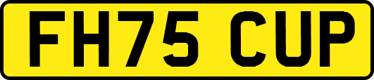 FH75CUP