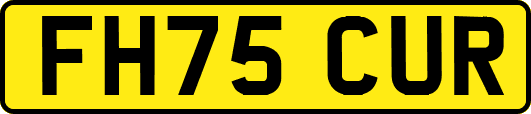 FH75CUR