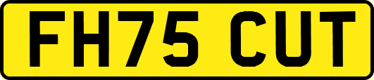 FH75CUT