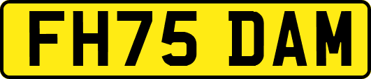 FH75DAM