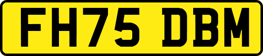 FH75DBM