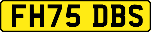 FH75DBS