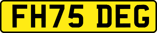 FH75DEG