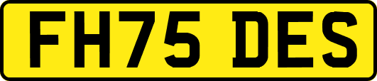 FH75DES