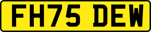 FH75DEW