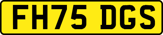 FH75DGS