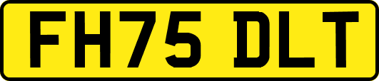 FH75DLT
