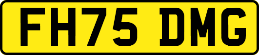 FH75DMG
