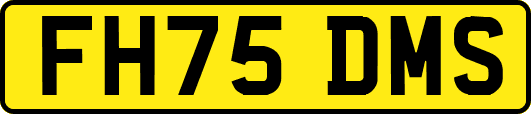 FH75DMS