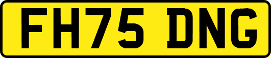 FH75DNG