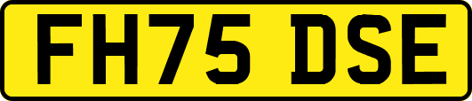 FH75DSE