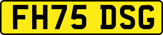 FH75DSG