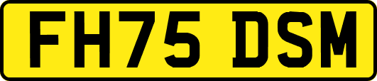 FH75DSM