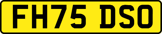 FH75DSO