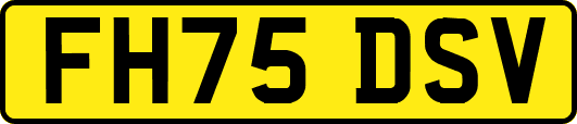 FH75DSV