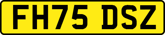 FH75DSZ