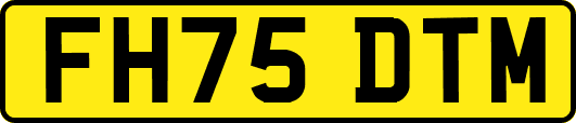 FH75DTM