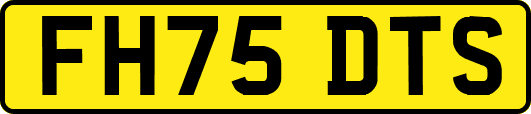 FH75DTS