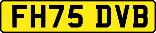 FH75DVB