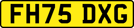 FH75DXG