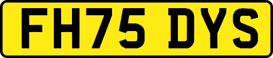FH75DYS