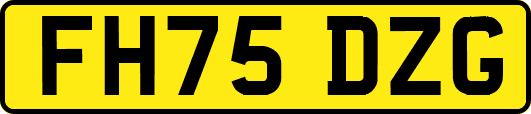 FH75DZG