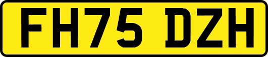 FH75DZH
