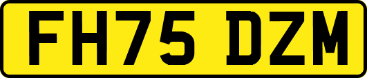 FH75DZM
