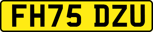 FH75DZU