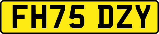 FH75DZY