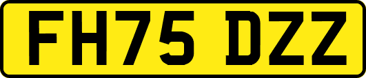 FH75DZZ