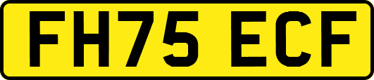 FH75ECF