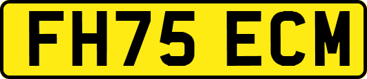 FH75ECM