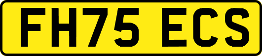 FH75ECS