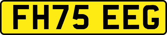 FH75EEG