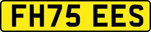 FH75EES