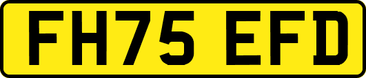 FH75EFD