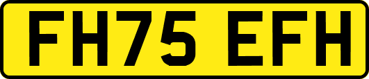 FH75EFH