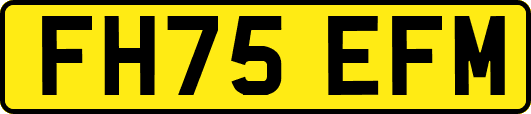 FH75EFM