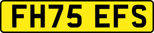 FH75EFS