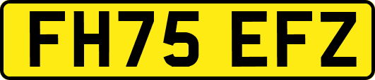 FH75EFZ