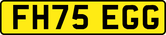 FH75EGG